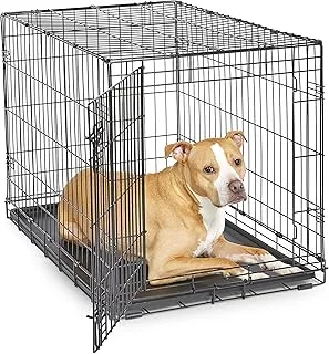 New World Single Door Folding Metal 36-Inch Dog Crate, Enhanced Security, Includes Leak-Proof Pan & Divider Panel, For Medium to Large Sized Breeds