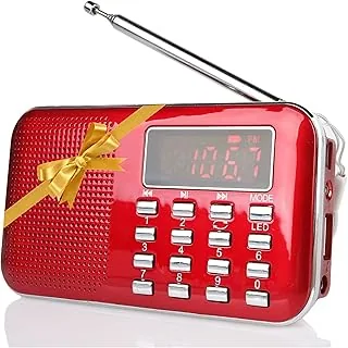 Raddy RF23 małe przenośne radio FM AM kieszonkowy odtwarzacz MP3 z gniazdem słuchawkowym, zasilanie bateryjne, głośna mowa, ładowana przez USB, do chodzenia, joggingu