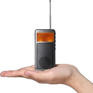 Raddy RF205 FM przenośne radio, kieszonkowe mini radio z połączeniem BT 5.3, wyjście sygnału FM-BT, głośnik odtwarzacza muzyki MP3 zasilany bateryjnie, ładowanie typu C, budzik, szary